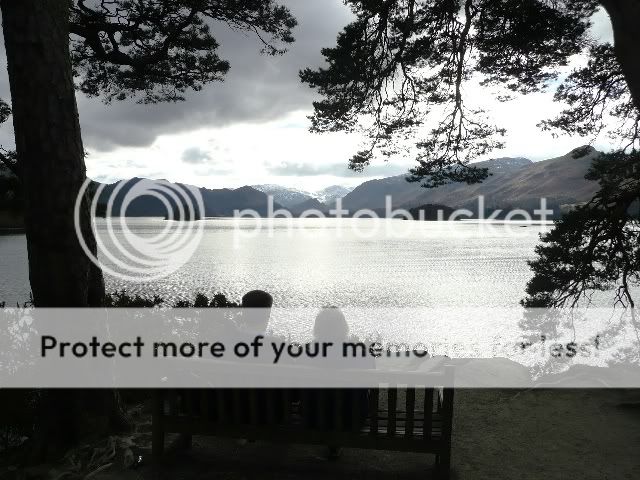Bench with a view!
