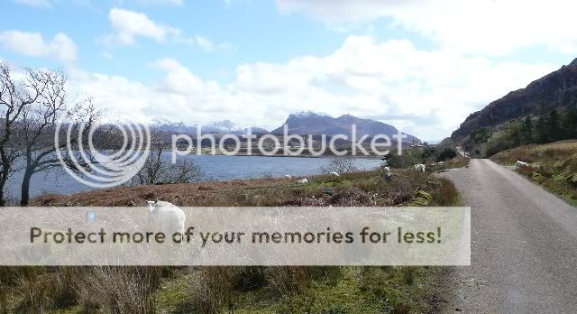 Looking back to Inverewe