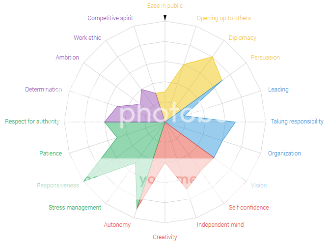 personality test talentoday personality chart test