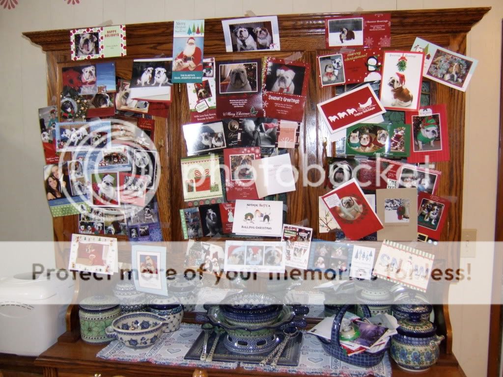 2009 Bulldog friends' cards