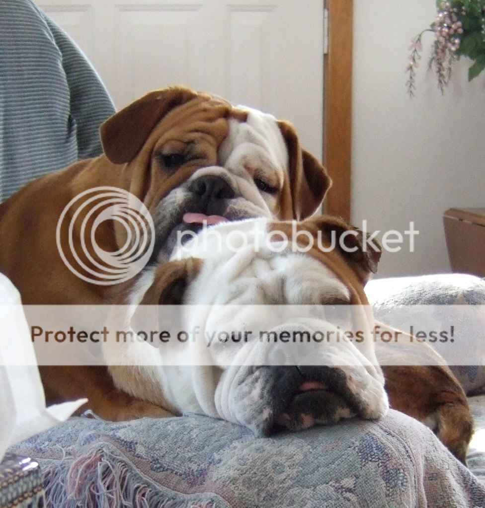 Photobucket