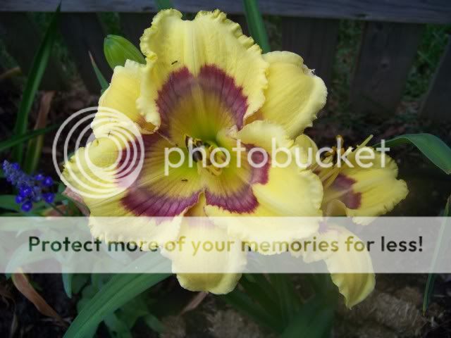 Optical Art Pictures, Images and Photos