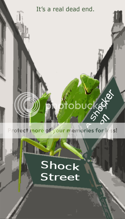 A Shocker on Shock Street