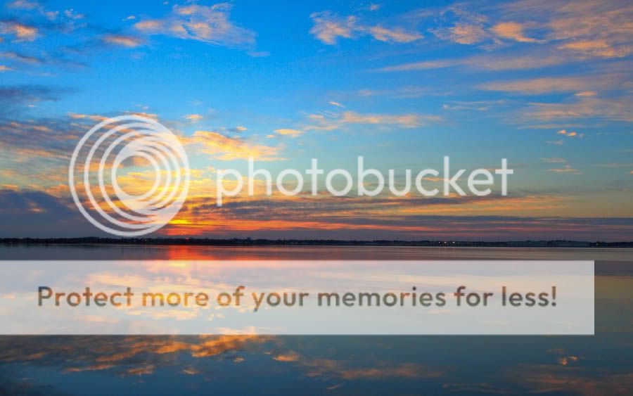 IMAGE: http://i747.photobucket.com/albums/xx117/Bytor_Photo2112/IMG_3360.jpg