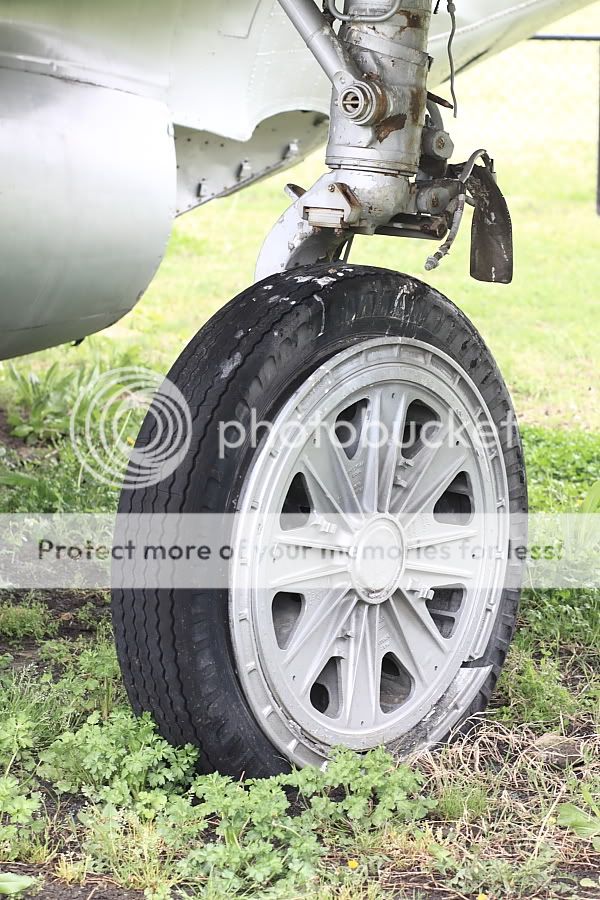 IMAGE: http://i747.photobucket.com/albums/xx117/Bytor_Photo2112/IMG_3401.jpg