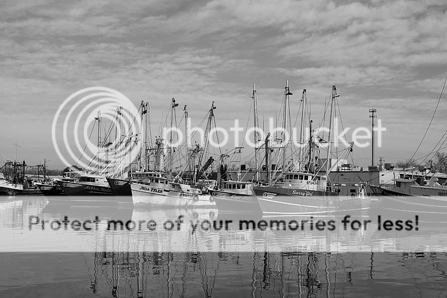 IMAGE: http://i747.photobucket.com/albums/xx117/Bytor_Photo2112/IMG_3622.jpg