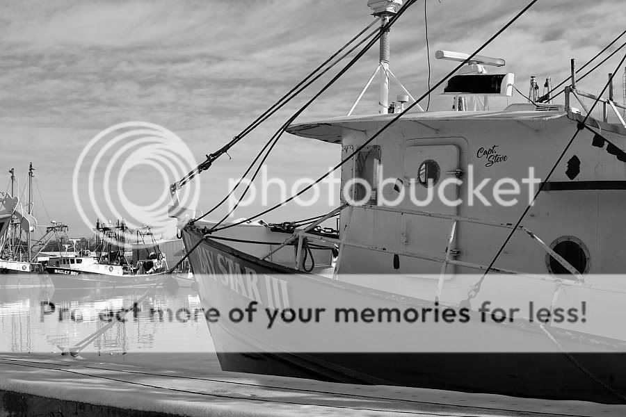 IMAGE: http://i747.photobucket.com/albums/xx117/Bytor_Photo2112/IMG_3628.jpg