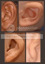  photo ear4-1_zps77d9b560.jpg