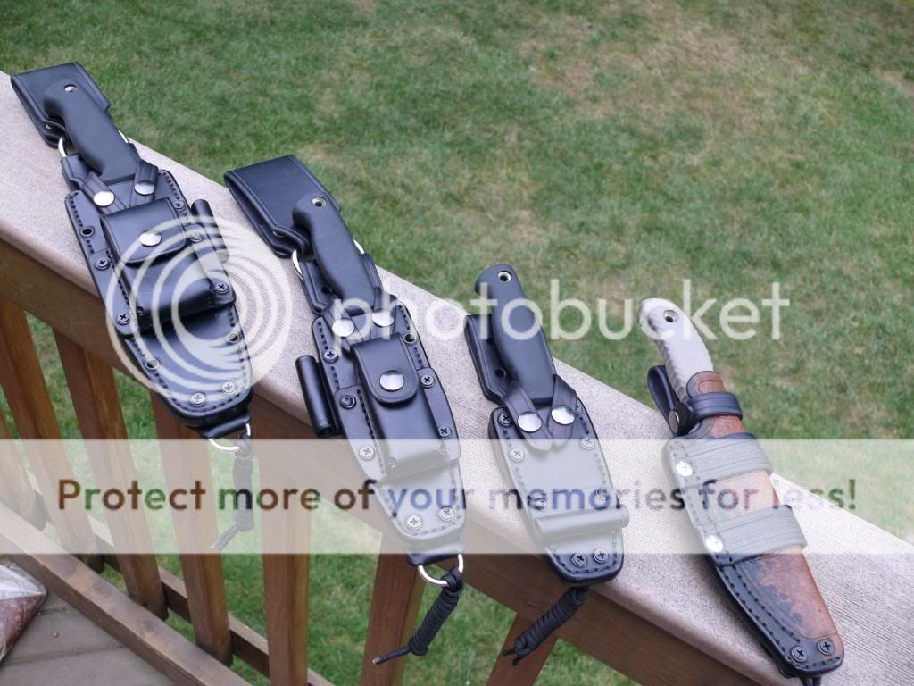 [Linked Image from i747.photobucket.com]