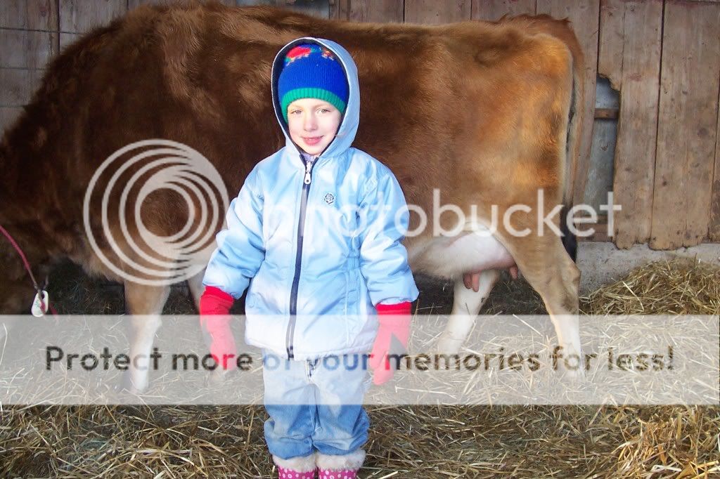 Baby watch !! - Cattle