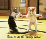friday-1.gif?t=1281075881