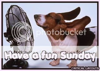 fun-sunday-dog-dc.jpg?t=1281247082