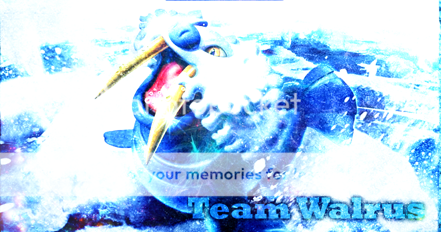 teamwalrus.png