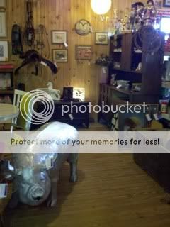 All purchases help horses! All purchases help horses!